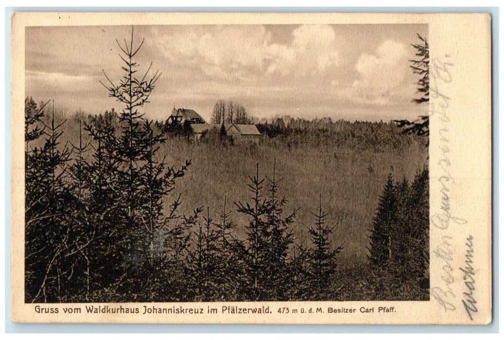 1907 Greetings from Waldkurhaus Johanniskreuz in the Palatinate Forest Postcard