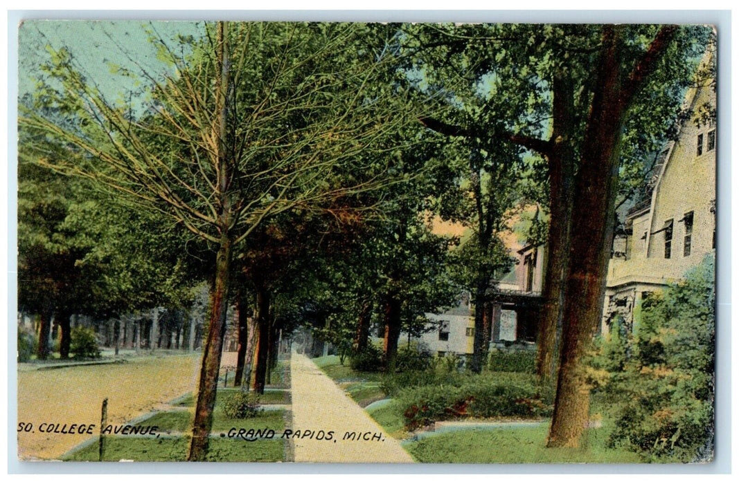 1911 South College Avenue Sidewalk Trees Grand Rapids Michigan Vintage Postcard