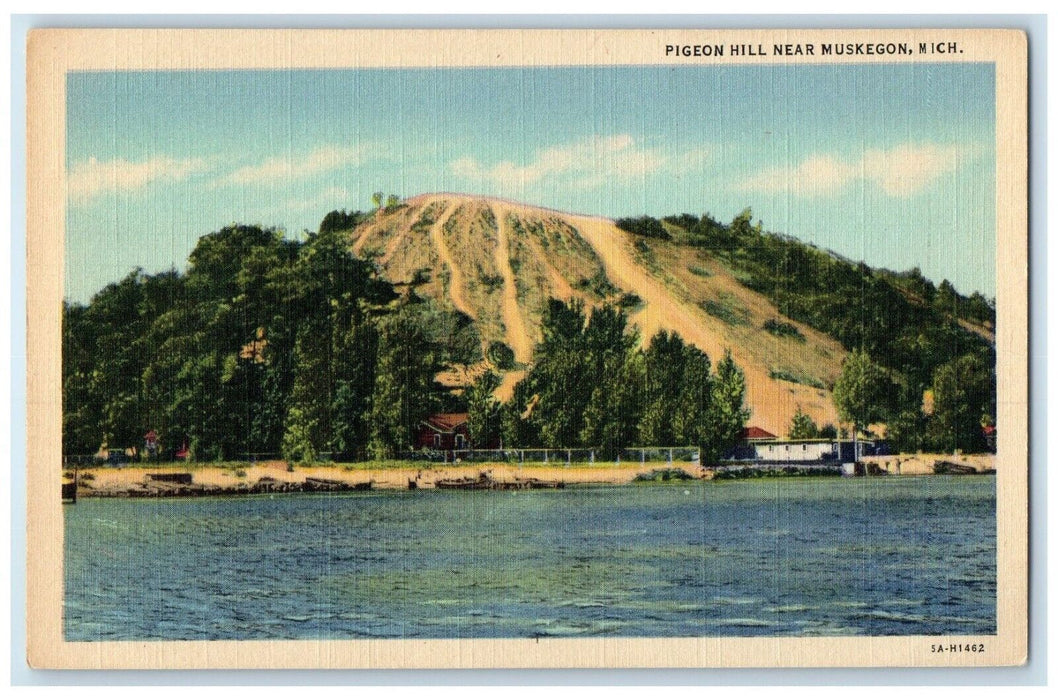 c1940 Pigeon Hill Mountain River Lake Exterior Boat Muskegon Michigan Postcard