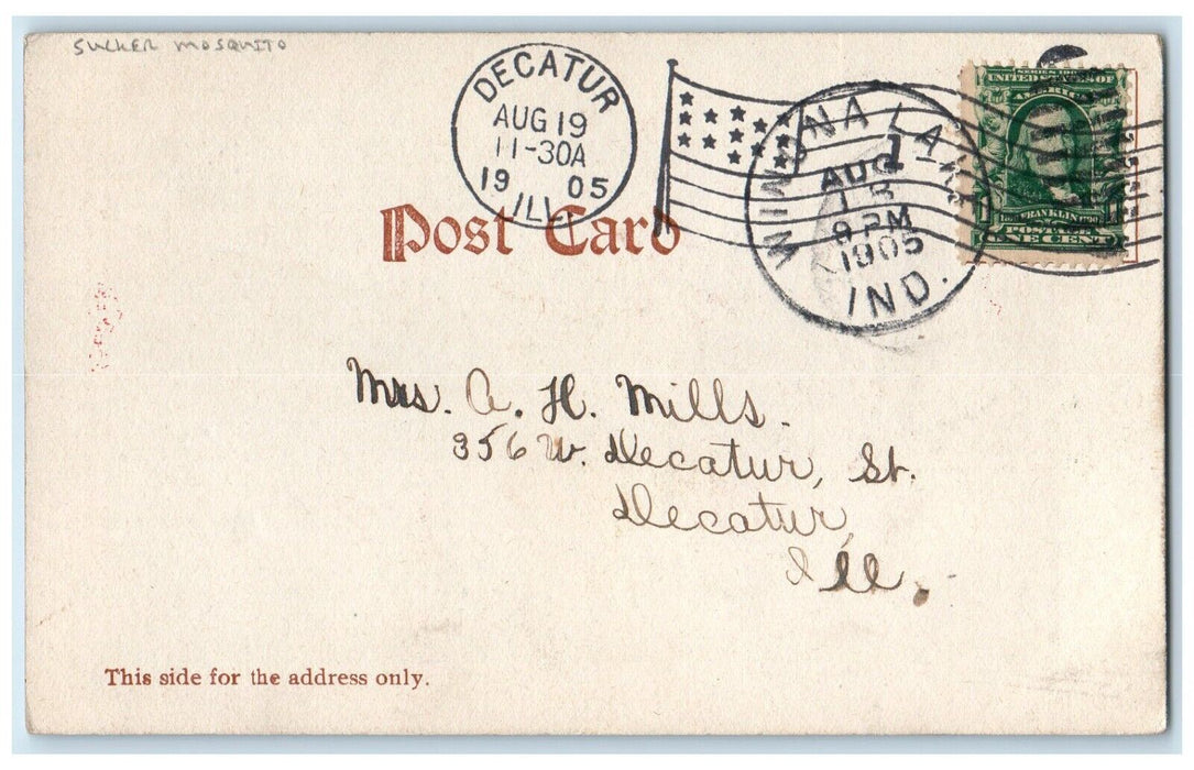 1905 Man Sleeping Sucker Mosquito Decatur Illinois IL, Winona Lake IN Postcard