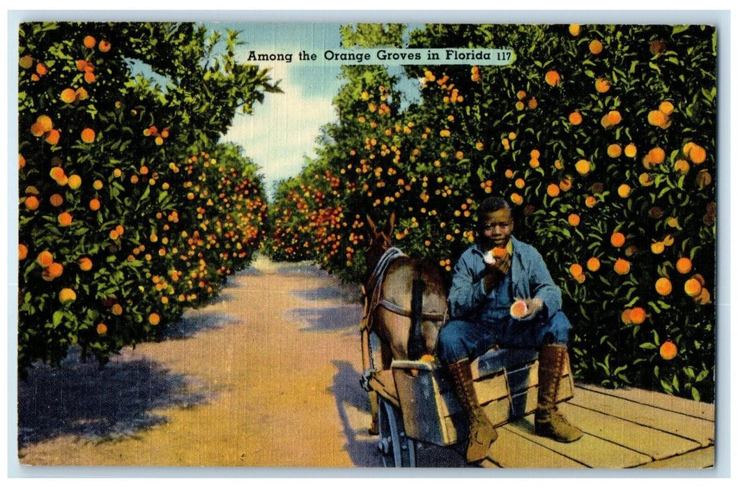 1941 Among Orange Groves Boy Eating Fruits Donkey Bradenton Florida FL Postcard