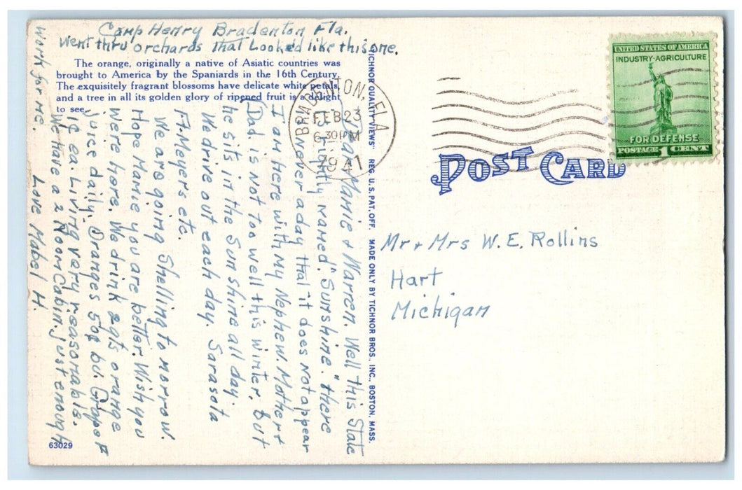 1941 Among Orange Groves Boy Eating Fruits Donkey Bradenton Florida FL Postcard