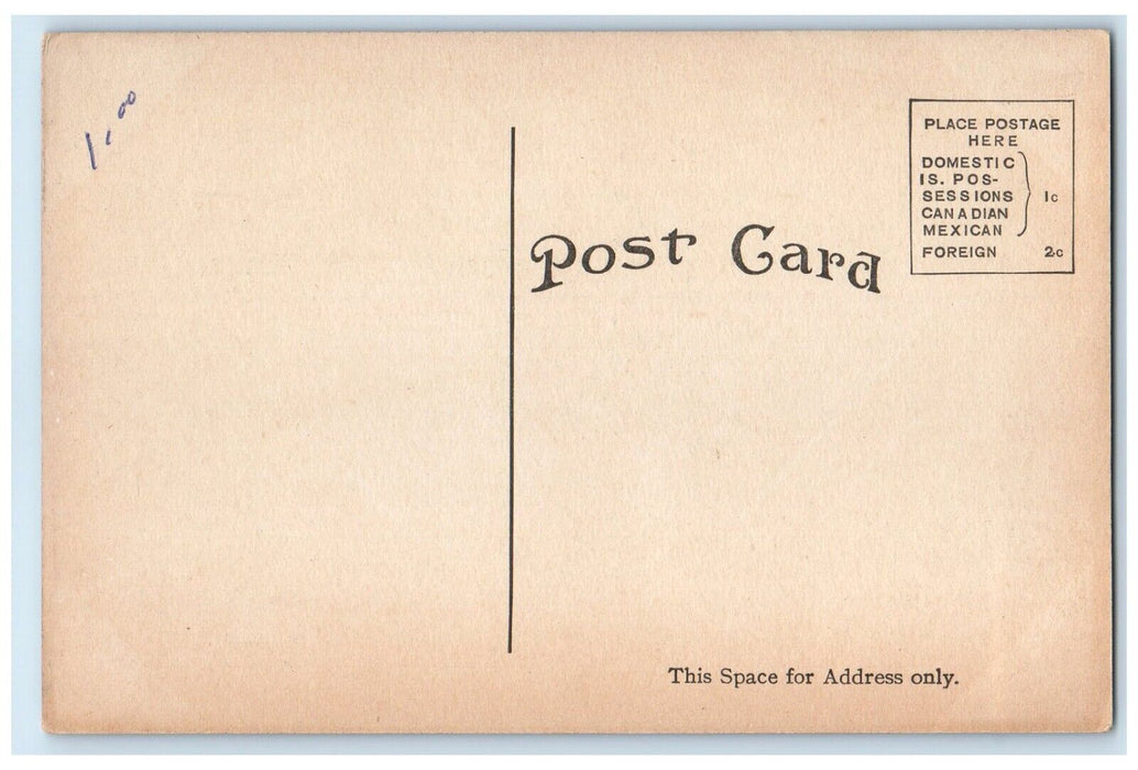 c1910's Indian Lane Epworth Near Ludington Michigan MI, Dirt Road Postcard