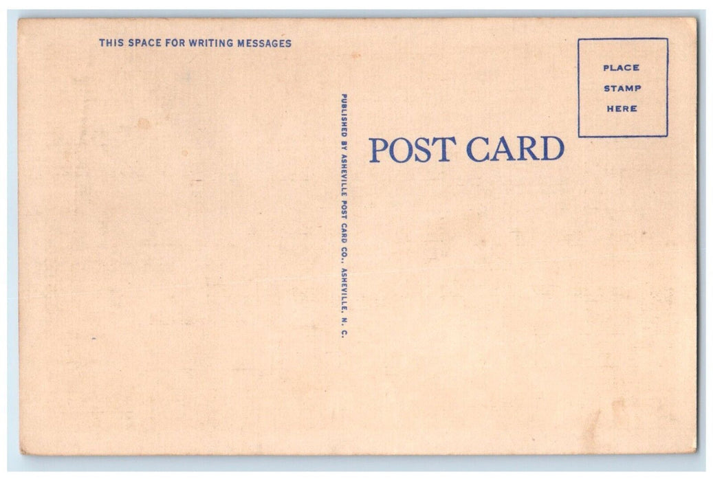 c1940 Airplane Brandeis Camp Institute South Hendersonville Michigan MI Postcard
