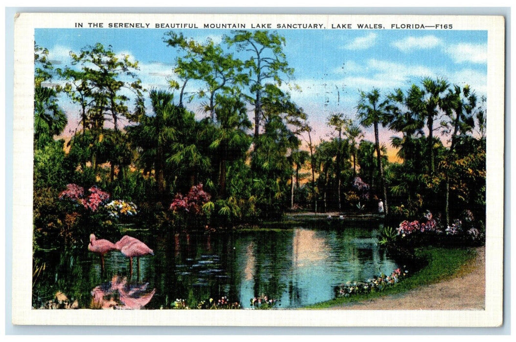 1938 View Of Serenely Mountain Lake Sanctuary Lake Wales Florida FL Postcard