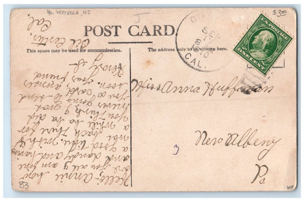 Couple Romance US Mail Horse Carriage Rural Free Delivery Westville NJ Postcard