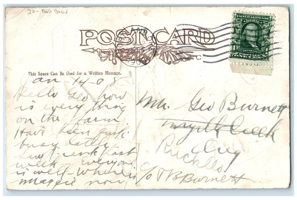 1908 Angry Man Itching Bed Bugs Embossed Portland Oregon OR Antique Postcard