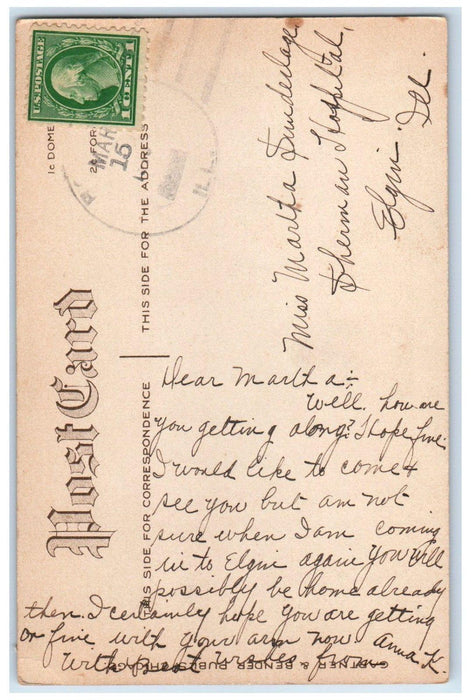 c1910's Gee Whiz Waiting At The Mail Box US Mail Elgin Illinois IL Postcard