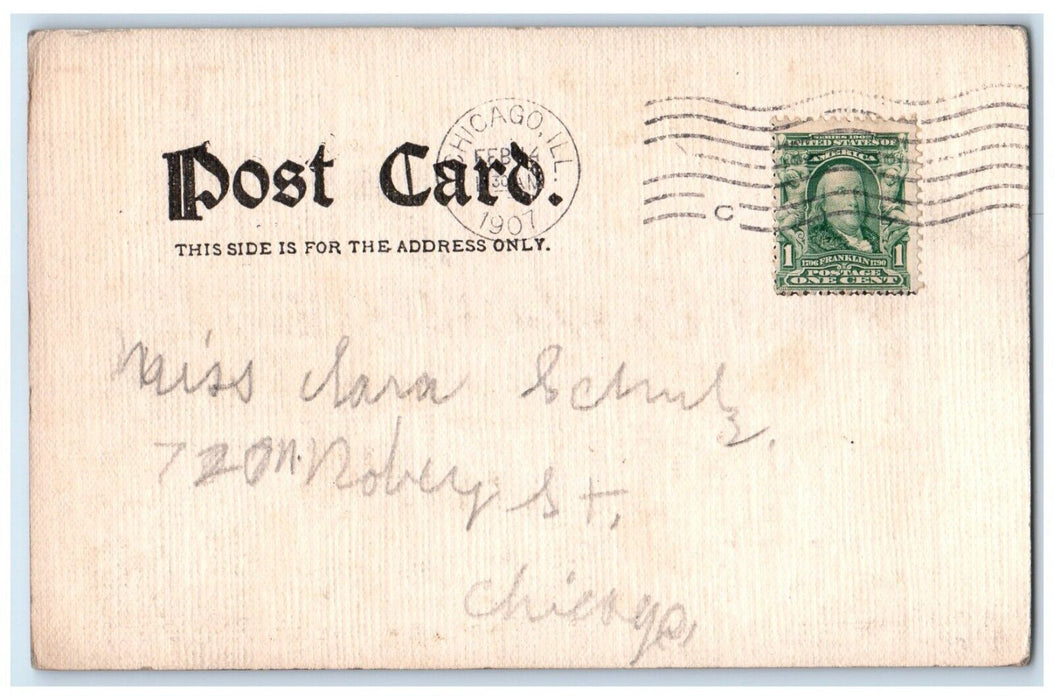1907 Little Girl Feeding Squirrel Chicago Illinois IL Posted Antique Postcard