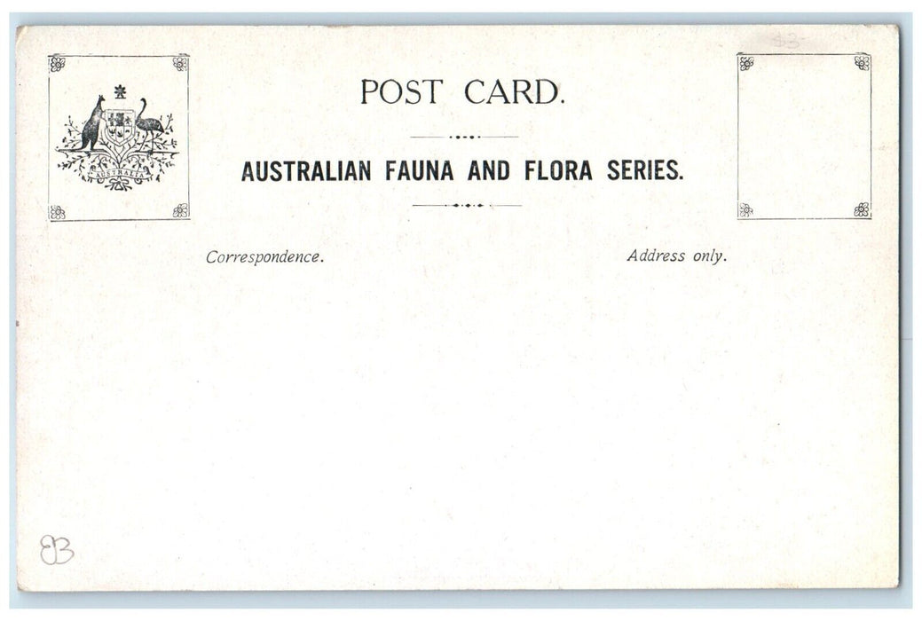 c1910's Australian Fauna EMV Scene Field Animals Unposted Antique Postcard