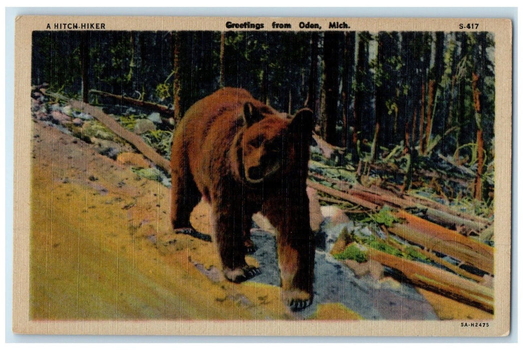 1948 Greetings Bear Animal Oden Michigan MI Hitch Hiker Vintage Antique Postcard