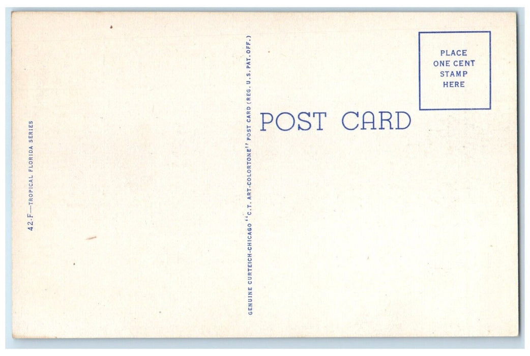 c1940 Map Come To Florida Woman Sunbathing Umbrella Florida FL Unposted Postcard