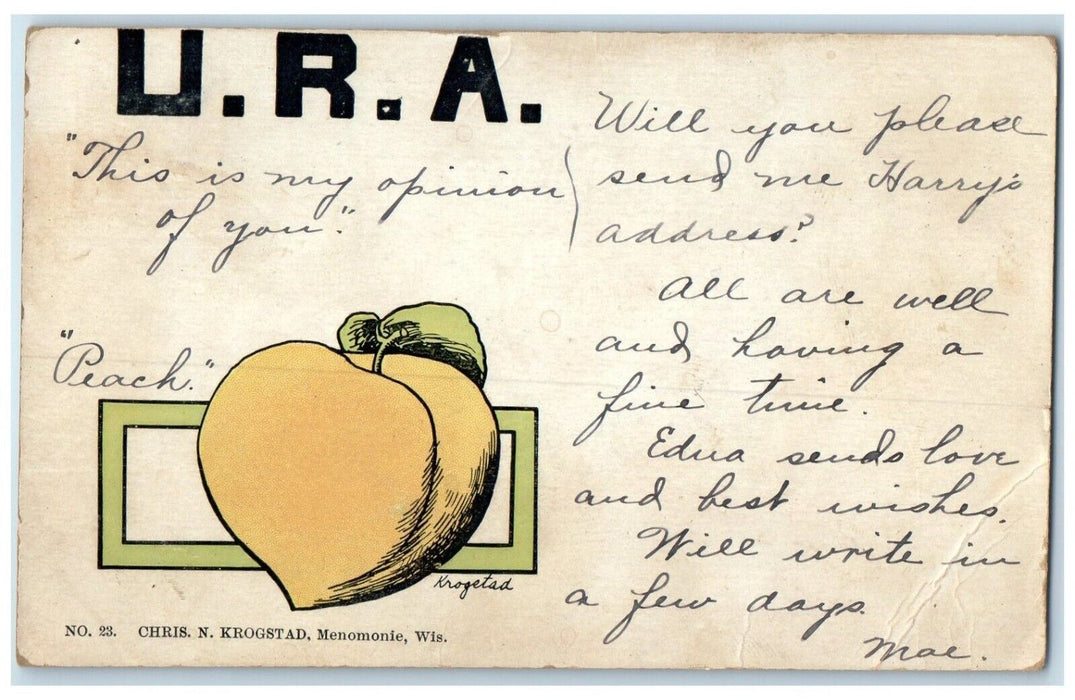 1906 Peach Fruits URA Krogetad Jacksonville Illinois IL Posted Antique Postcard