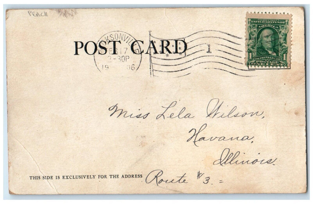 1906 Peach Fruits URA Krogetad Jacksonville Illinois IL Posted Antique Postcard