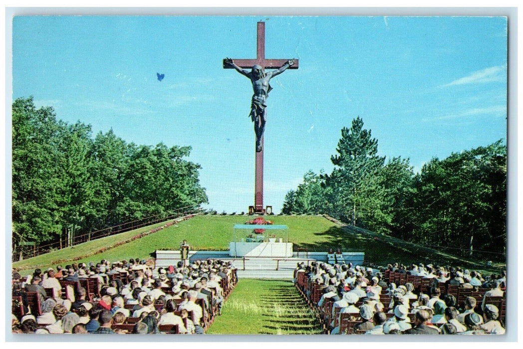 c1960 Catholic Shrine Crucifix Redwood Tree Field Indian River Michigan Postcard