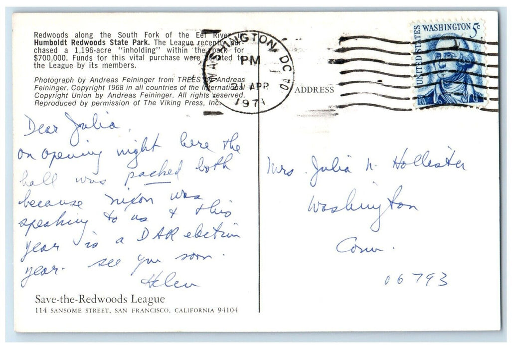 1971 Redwoods Eel River Humboldt Redwoods State Park Washington DC Postcard