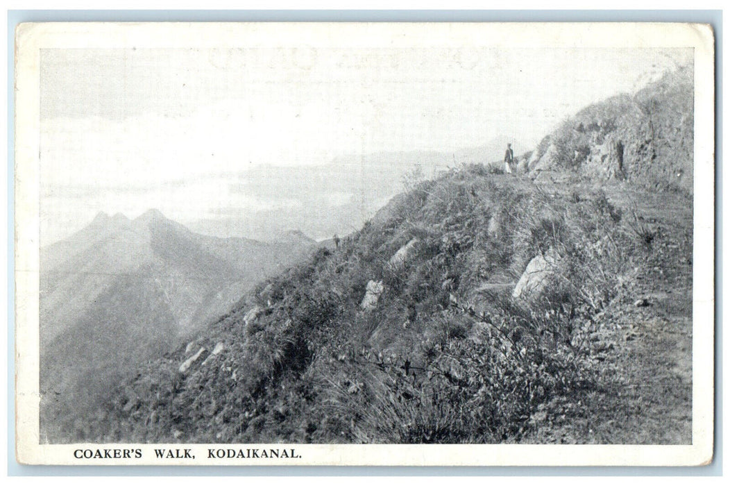 c1940's Coaker's Walk Koaikanal Tamil Nadu India Unposted Vintage Postcard