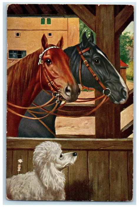 c1910's Poodle Dog And Stallion Horse In Barn Animals Unposted Antique Postcard