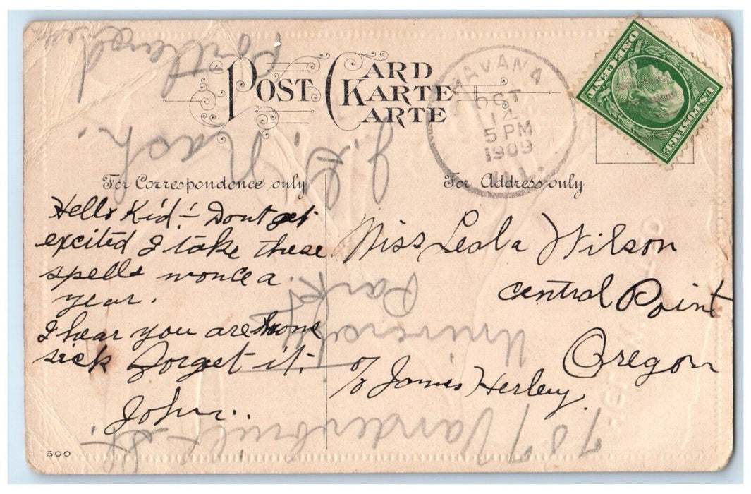 1909 Young Lady Fishing Bucket Young Man Embossed Havana Illinois IL Postcard