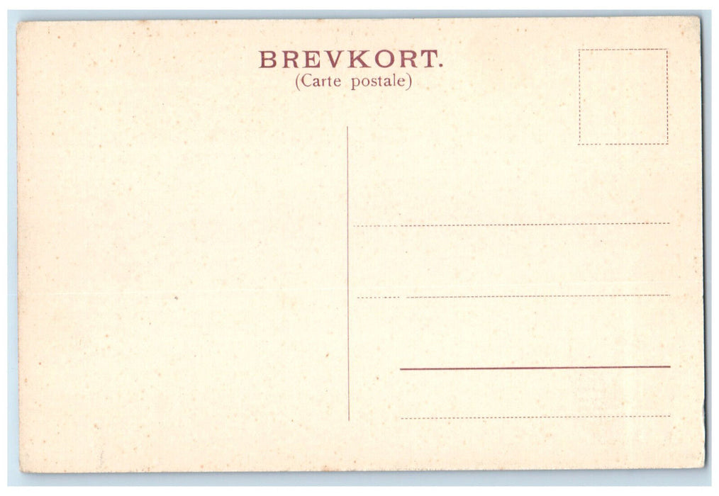 c1910 Frederiksborg Castle Seen From the Hotel Hillerød Denmark Postcard