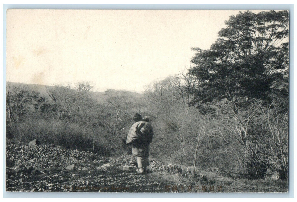 c1905 Mt. Fuji From Ubago In Hakone Japan Antique Unposted Postcard