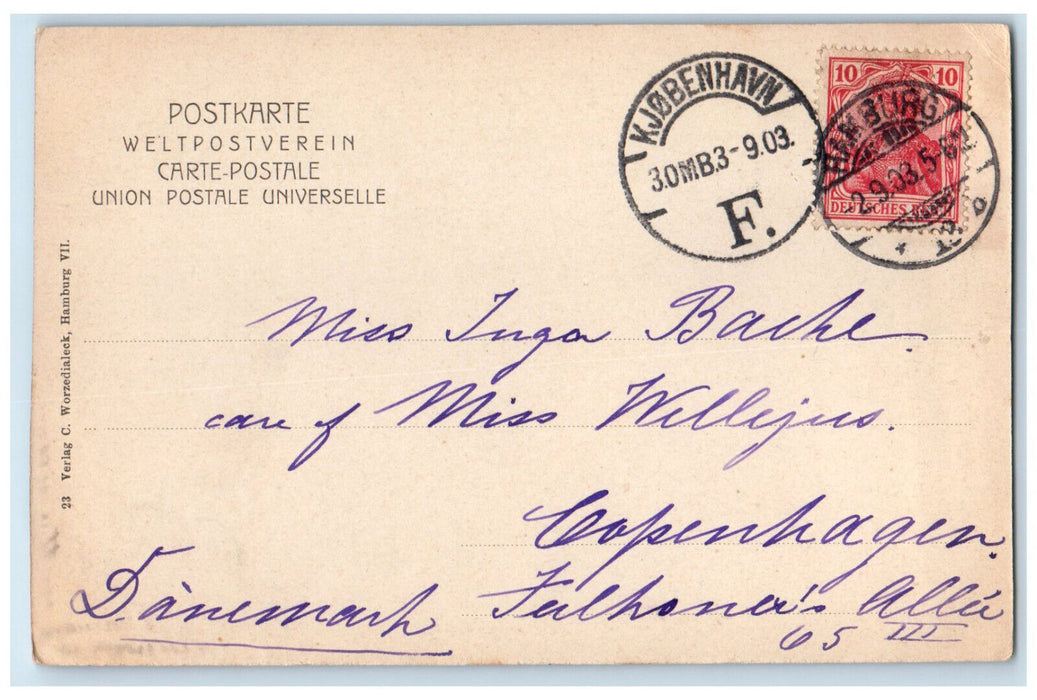 1903 Bridge View Botanical Garden Hamburg Germany Antique Posted Postcard