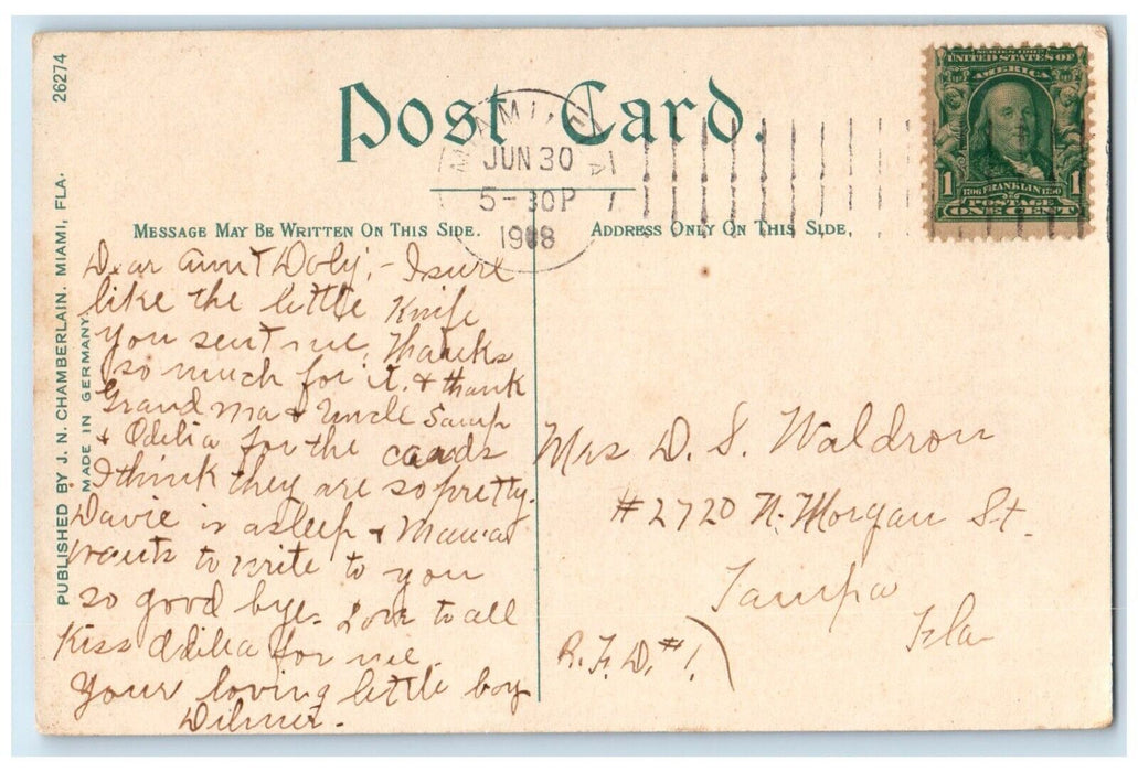 1908 Everglades Read Of Miami River Florida FL, Goose Scene Antique Postcard