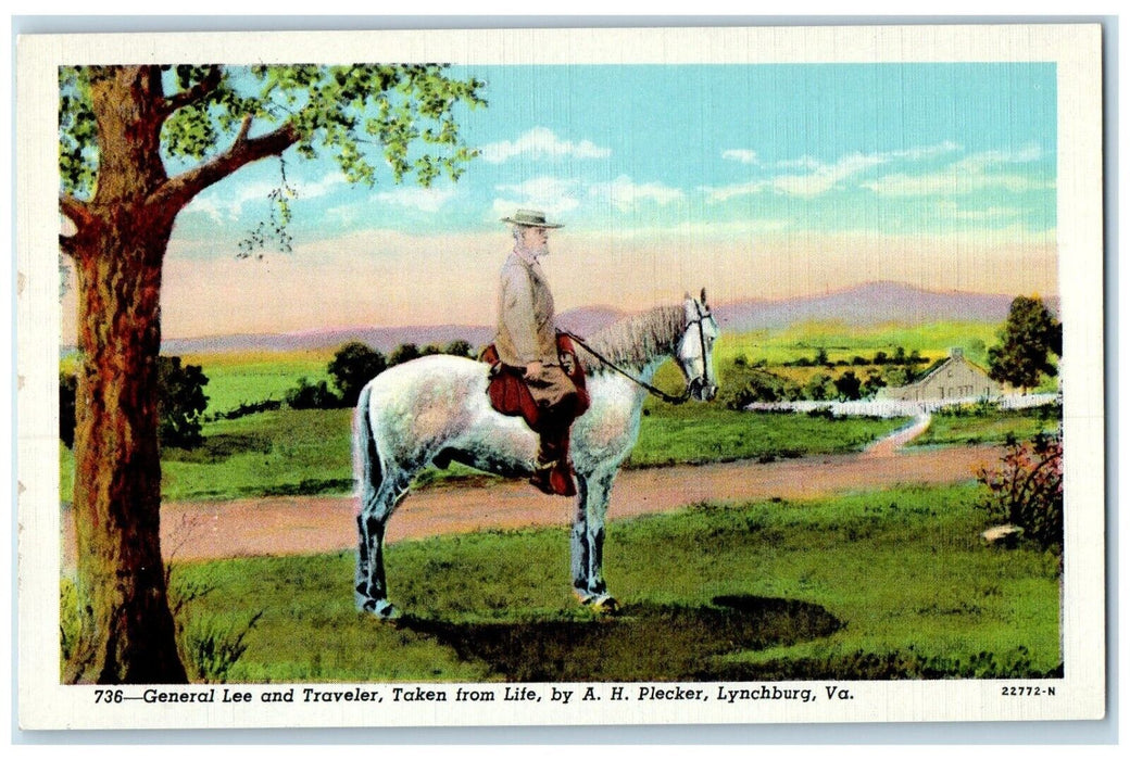 c1940 General Lee Traveler Taken Life Piecker Horse Lynchburg Virginia Postcard