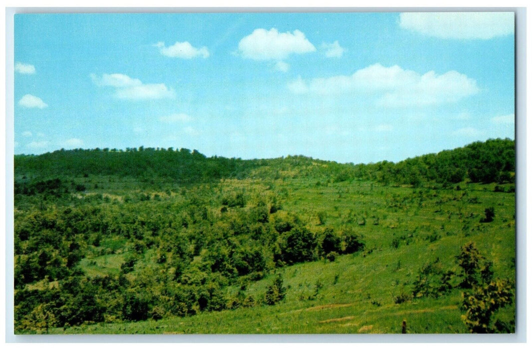 c1960 Compton Ridge Mutton Hollow Shepherd Country Branson Missouri MO Postcard