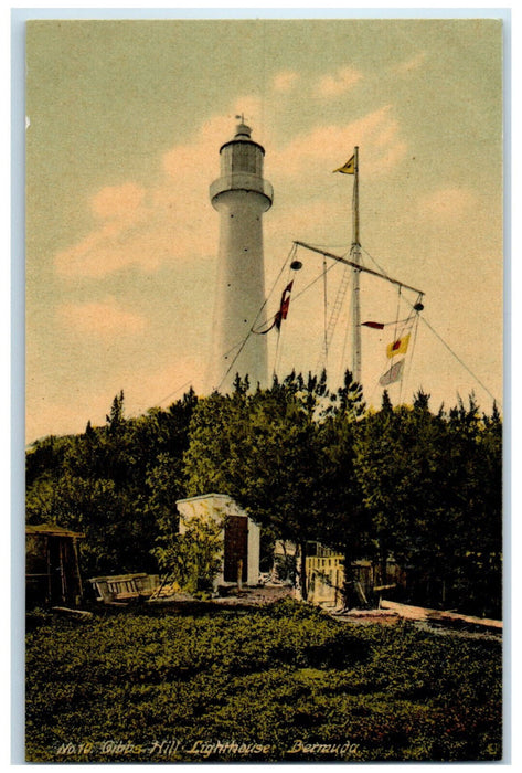 c1910 View of Trees Gibbs Hills Lighthouse Bermuda Unposted Antique Postcard