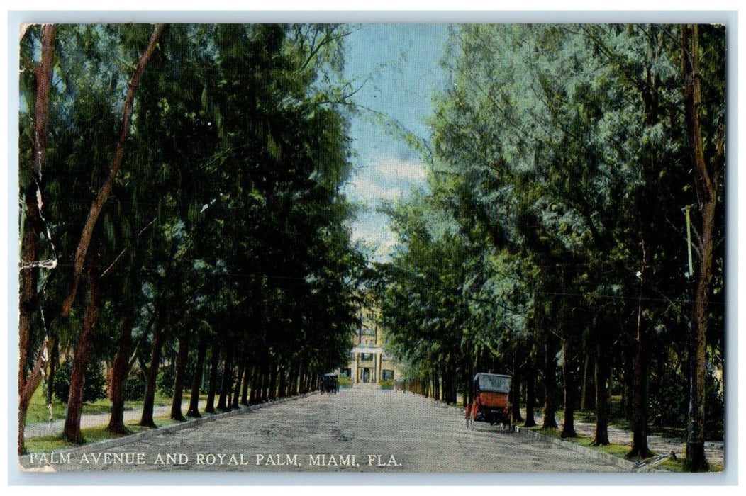 1916 Palm Avenue & Royal Palm Horse Carriage Road Trees Miami Florida Postcard