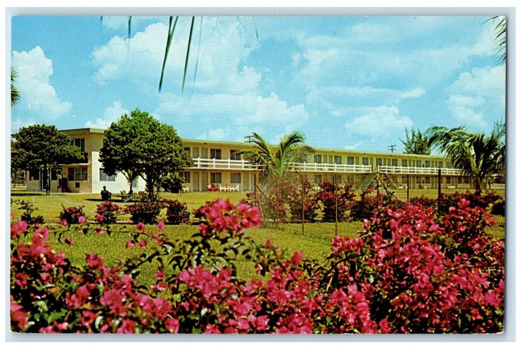 c1960 Bougainvilleas Hedge Boca Raton Bible Conference Grounds Florida Postcard
