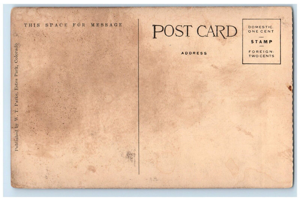 1910 Aerial View Lyons Estes Park Classic Cars Road Estes Park Colorado Postcard