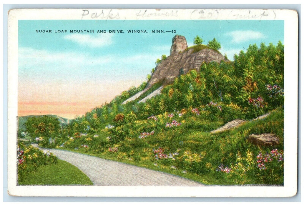 c1920 Scenic View Sugar Loaf Mountain Drive Winona Minnesota MN Vintage Postcard