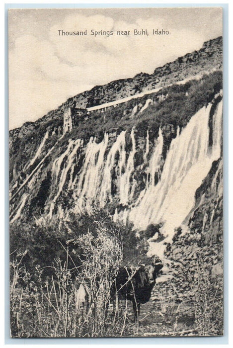 c1910 Overlooking Thousand Springs Near Buhl Idaho ID Vintage Antique Postcard