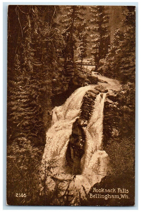 c1910 Nooksack Falls Bellingham Washington WA Vintage Antique Unposted Postcard