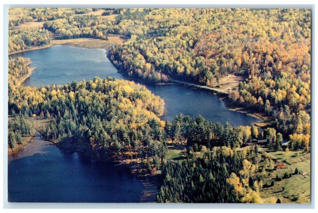 1960 Birds Eye View Pine Crest Pine Trees Cottages Republic Michigan MI Postcard