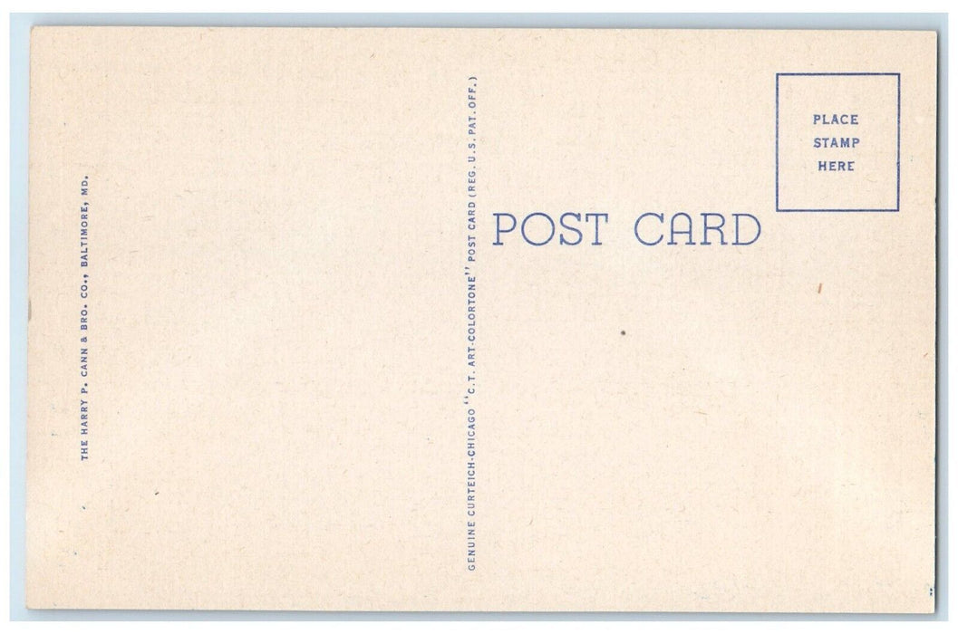 c1940 Boxwood Gardens Mrs. Alfred Dennis Princess Anne Maryland Vintage Postcard