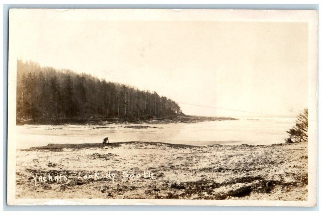 c1920's Forest Ocean Bay Dog Looking South View Yachats OR RPPC Photo Postcard