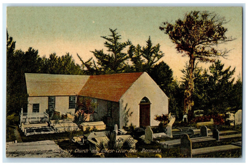 c1910 Old Devonshire Church and Oldest-Cedar-Free Bermuda Antique Postcard