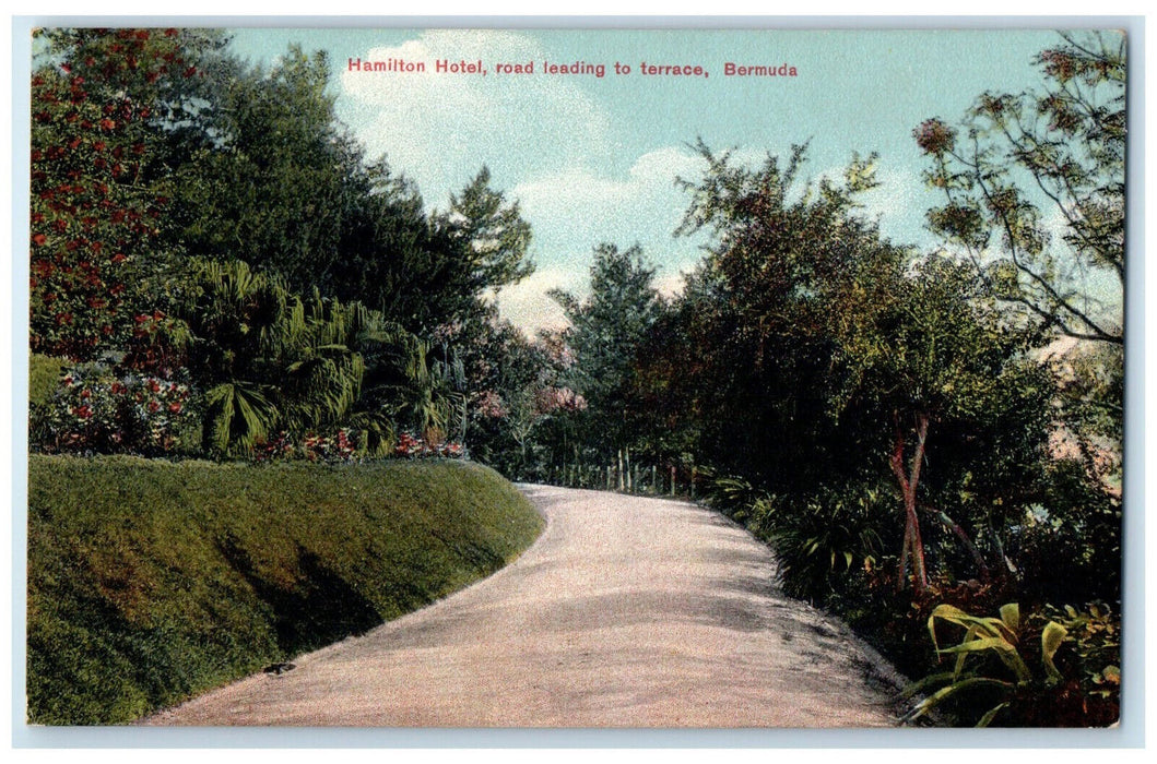 c1910's Hamilton Hotel Road Leading Leading to Terrace Bermuda Antique Postcard