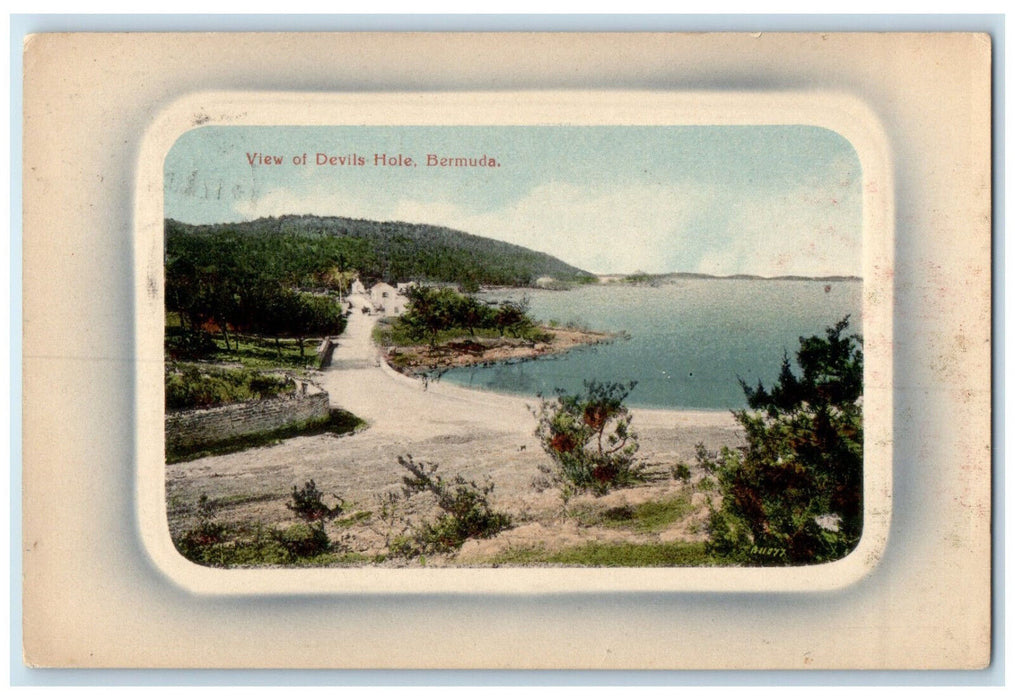 c1905 View of Devils Hole Hill River Bermuda Antique Unposted Postcard
