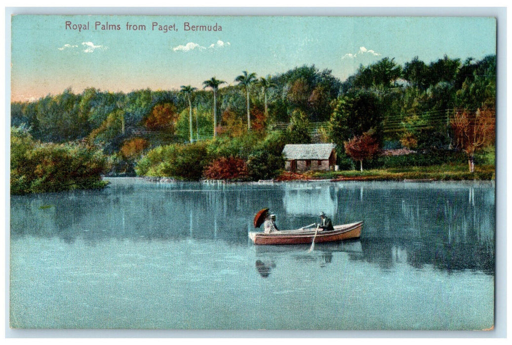 1909 Boat Canoeing Royal Palms from Paget Bermuda Antique Unposted Postcard