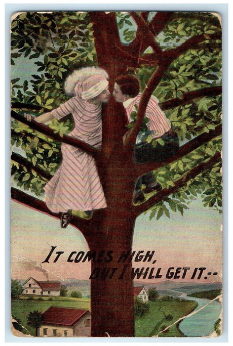 1911 Sweet Couple Romance On Top Of Tree It Comes High Fortville IN Postcard