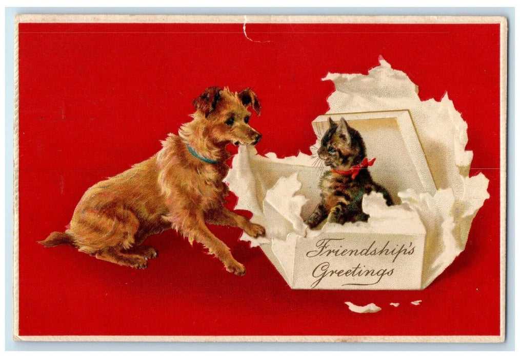 c1910's Friendship's Greetings Dog And Cat In Box Embossed Nash Antique Postcard