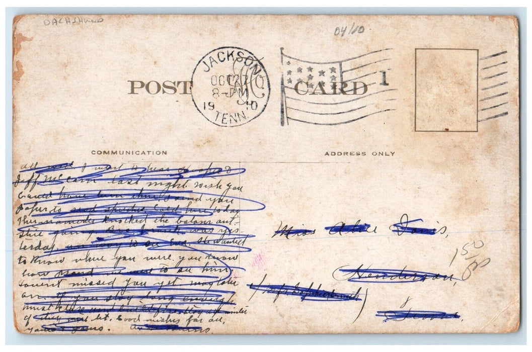 1910 Dachshund Dog Best Bologna Coming Events Jackson Tennessee TN Postcard