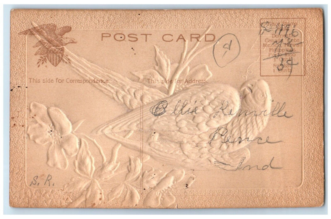 c1910's Parrot Flowers Airbrushed Glitter Embossed Peirce Indiana IN Postcard