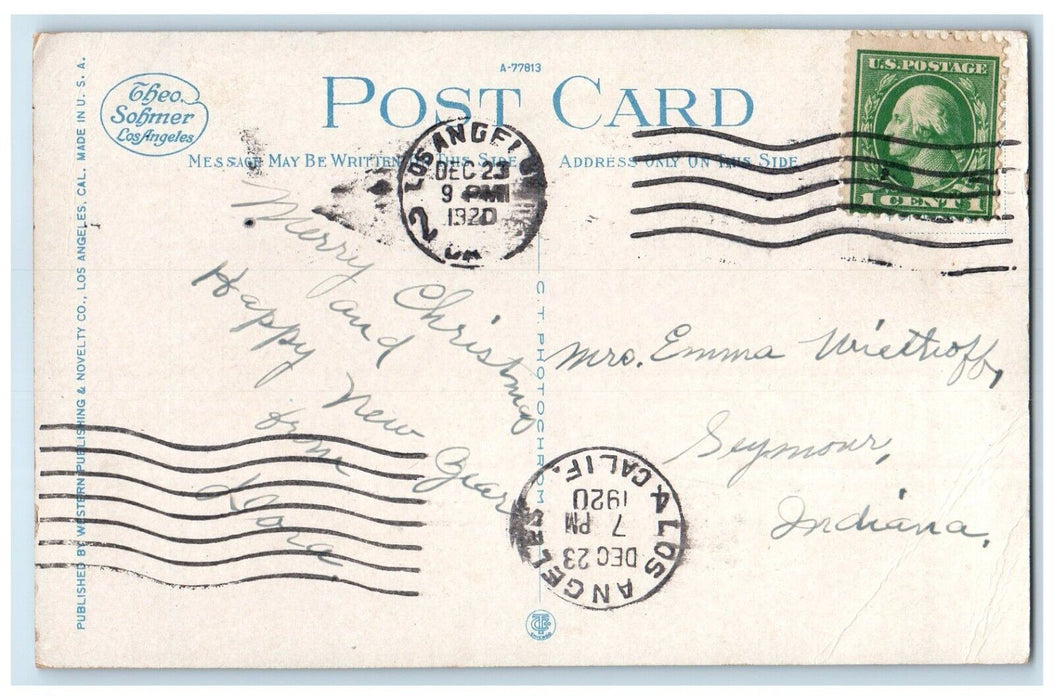 1920 Christmas Park Section Midwinter Flowers Los Angeles California CA Postcard