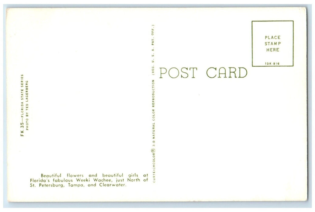 1960 Beautiful Flowers Girls Fabulous Clearwater St. Petersburg Florida Postcard