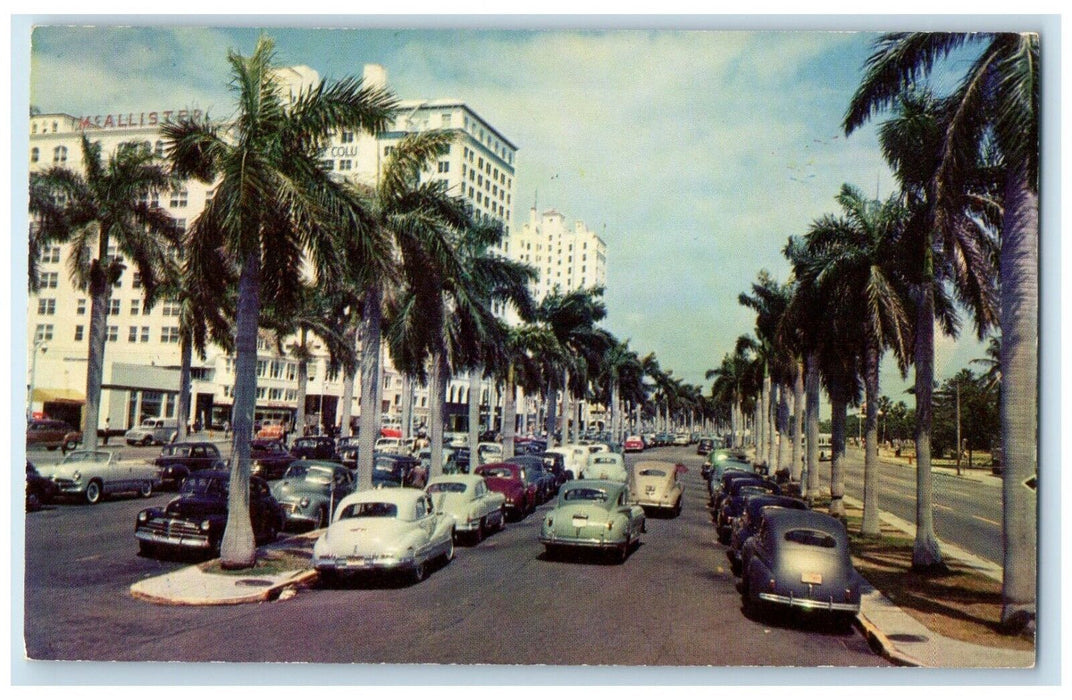 1953 Biscayne Boulevard Avenue Royal Palms Miami Skyscrapers Florida FL Postcard